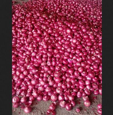 Round Fresh Red Onion