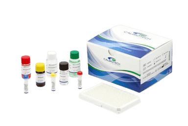 Calbiotech SCL-70 Elisa Kit