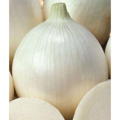 White Onion Moisture (%): Nil