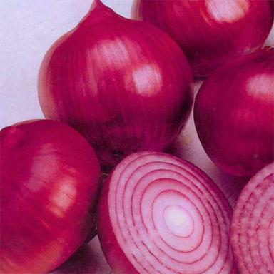 Fresh Red Onion Moisture (%): Nil