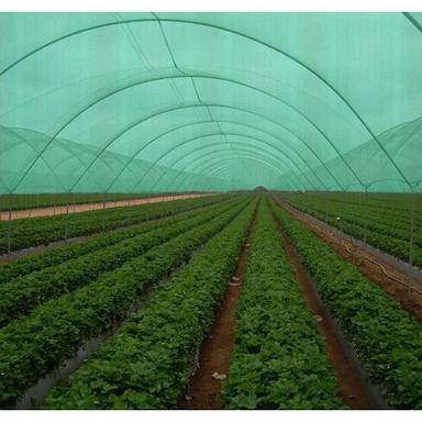 Hdpe Agro Shade Net - Coating Type: Coated