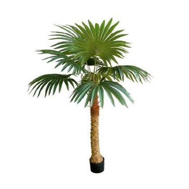 XPS-PLT-132 1.5m 9 Leaves Fan Coconut Palm Plant