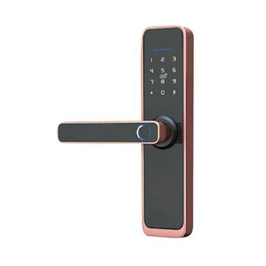 Silver / Gold Biometric Locks For Hotels