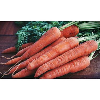 Red Carrot Shelf Life: 1-2 Days