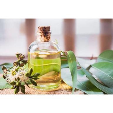 Eucalyptus Oil - Age Group: All Age Group