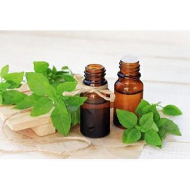 Holy Basil Tulsi Essential Oil Age Group: Adults