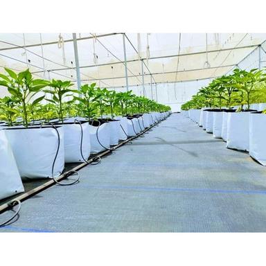 Cocopeat Growbag Greenhouse Structure Long Life