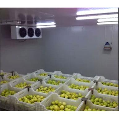 Lemon Cold Storage Size: Various