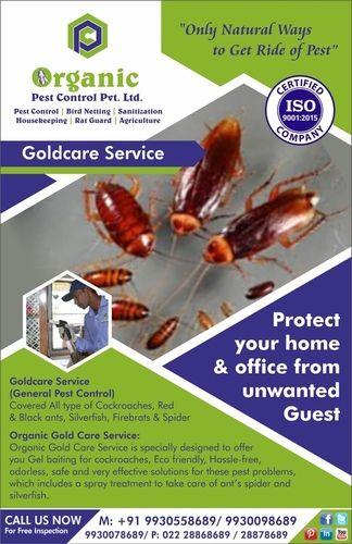 Ants Control Service