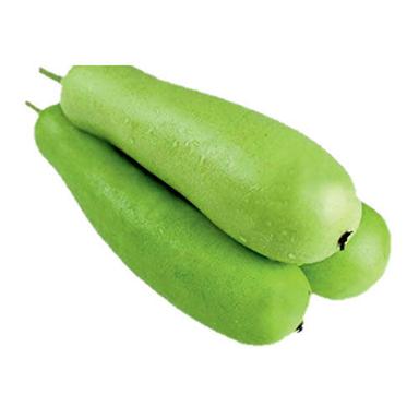 Bottle Gourd Seeds - Cultivation Type: Organic