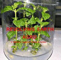 Revolving Earth Agro Pvt. Ltd.
