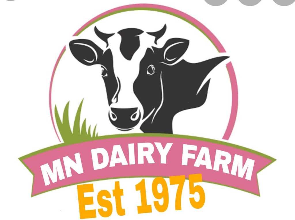 MN DAIRY FARM