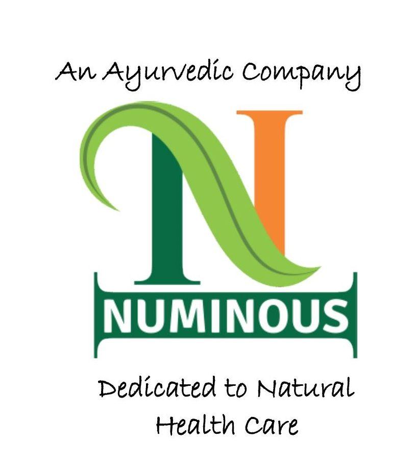 NUMINOUS PRODUCTS INDIA PRIVATE LIMITED