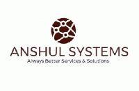 Anshul System Repair And Safety Services