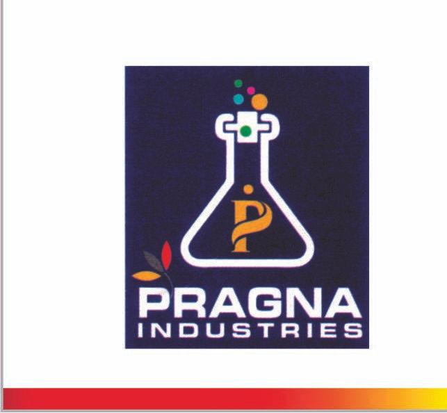 PRAGNA INDUSTRIES