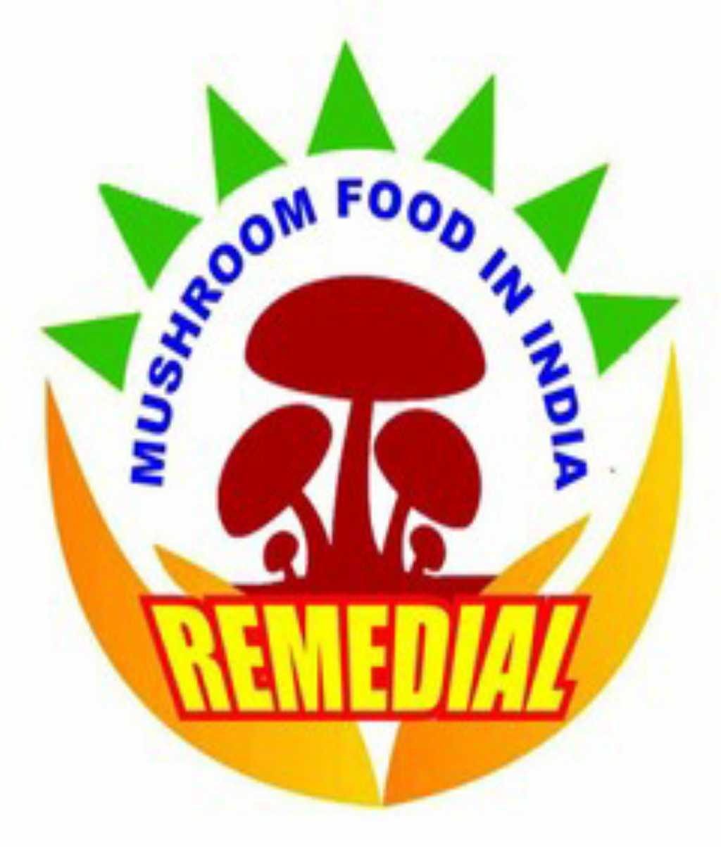 Remedial Mushroom food