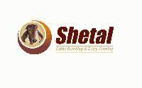 SHETAL CATTLE BREEDING AND DAIRY FARMING