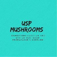 Usp Mushroom Pvt. Ltd.