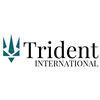 TRIDENT INTERNATIONAL