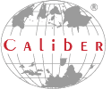 Caliber Tech Solution Pvt Ltd.