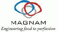 Magnam Netlink Pvt. Ltd