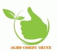 AGRO CORDY SHINE