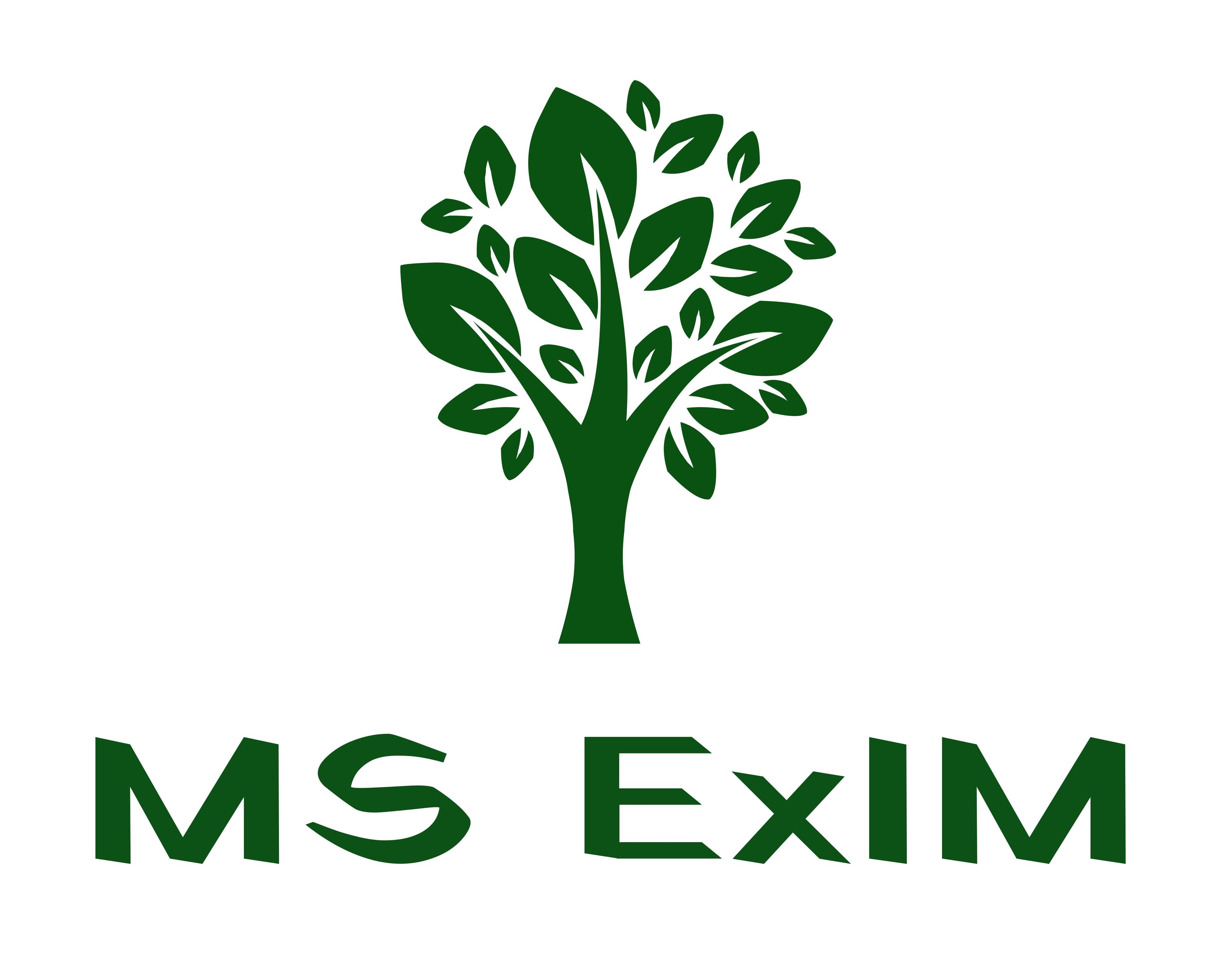 MS Exim