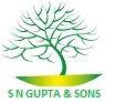 S N GUPTA AND SONS