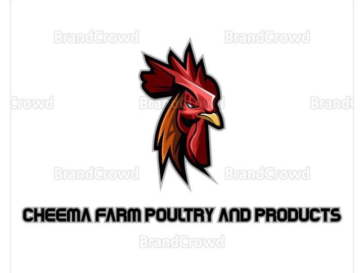 CHEEMA FARM POULTRY AND PRODUCTS