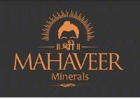 Shree Mahaveer Minerals 
