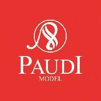 Guangzhou Paudi Model Technology Ltd.