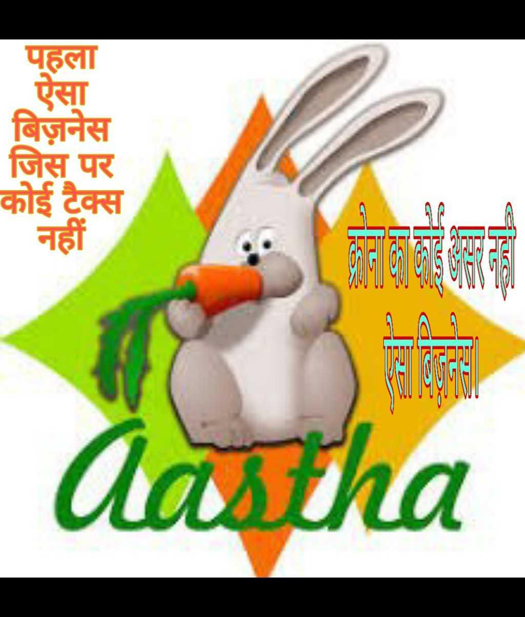 Aastha Rabbit Farming