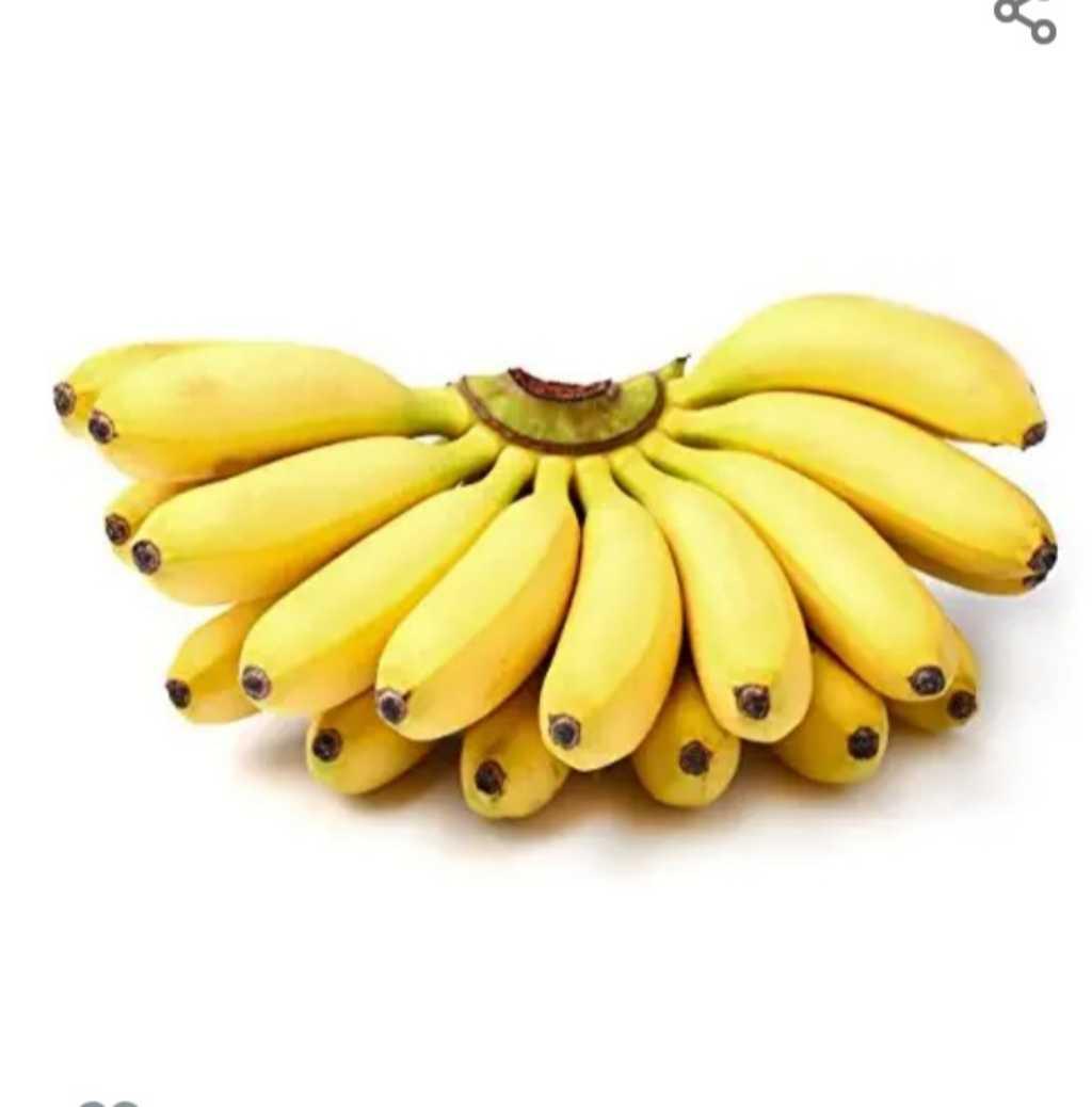 Dharma Banana Traders