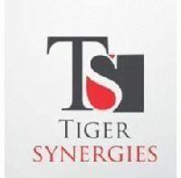 Tiger Synergies Private Limited