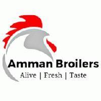 Amman Broilers