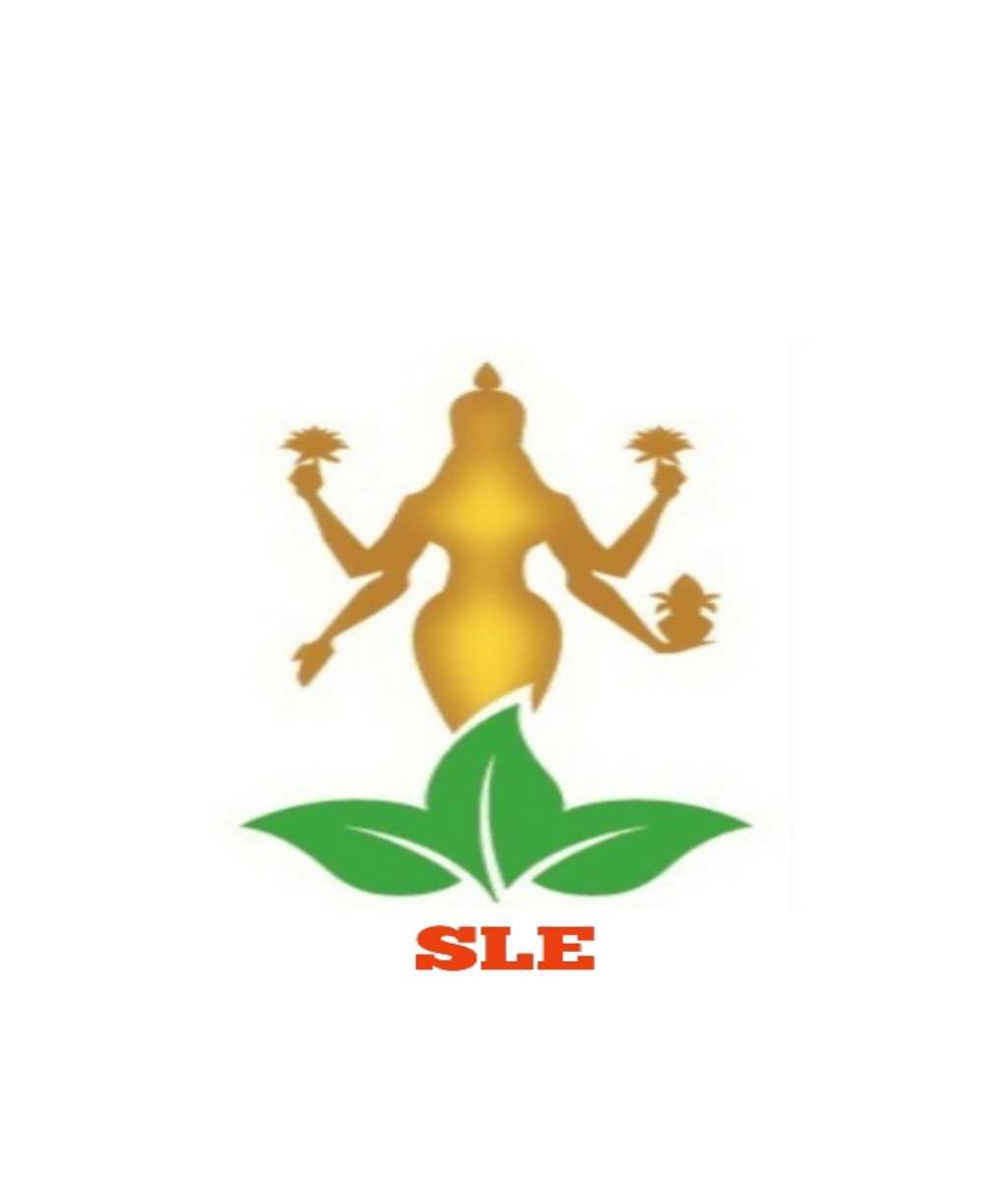 SRI LAKSHMI ENTERPRISES