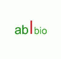 AB Bioproducts India LLP