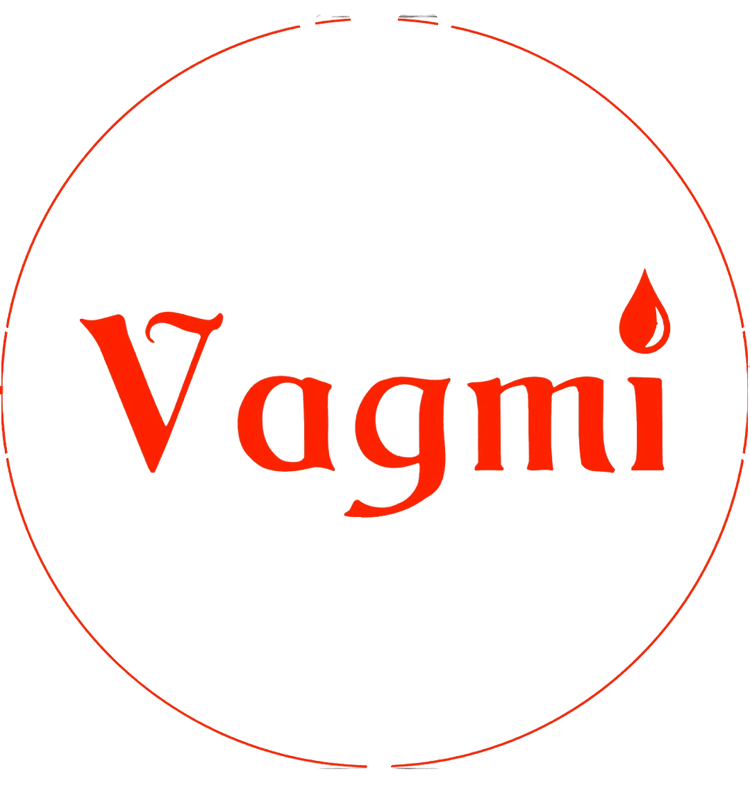 Vagmi Enterprises