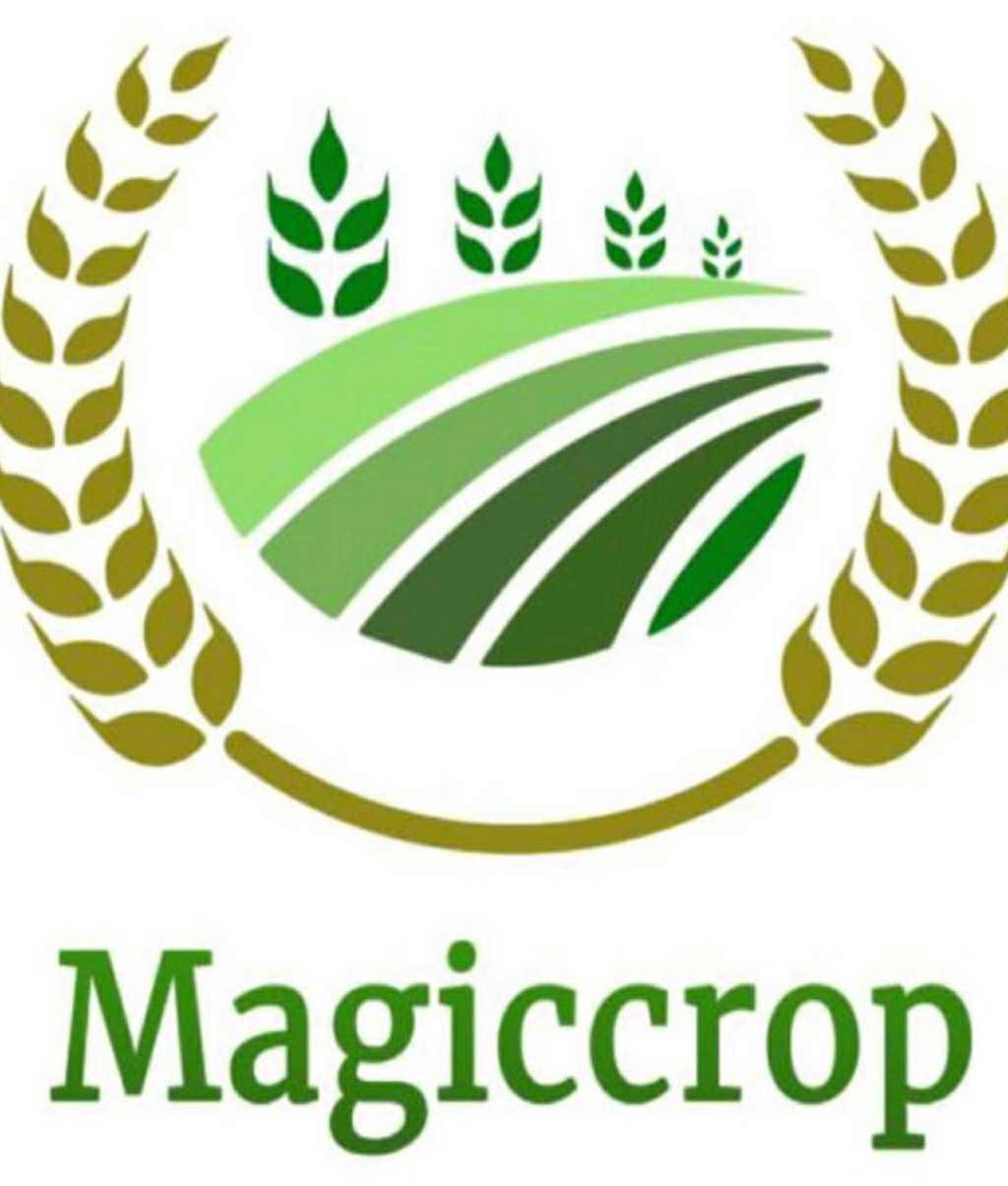 Magiccrop Business Pvt. Ltd.
