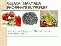 Gujarat Narmada Phosphate Enterprise