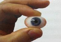Custom Made Artificial Eyes