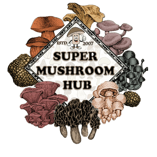 SUPER MUSHROOM HUB PRIVATE LIMITED