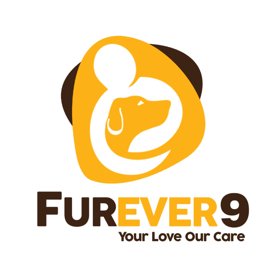 Furever 9 Corporation