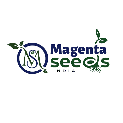 MAGENTA BIOTECH PRIVATE LIMITED