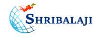 SHRIBALAJI OVER SEAS PRIVATE LIMITED