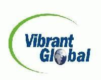 VIBRANT GLOBAL SALT PVT. LTD.