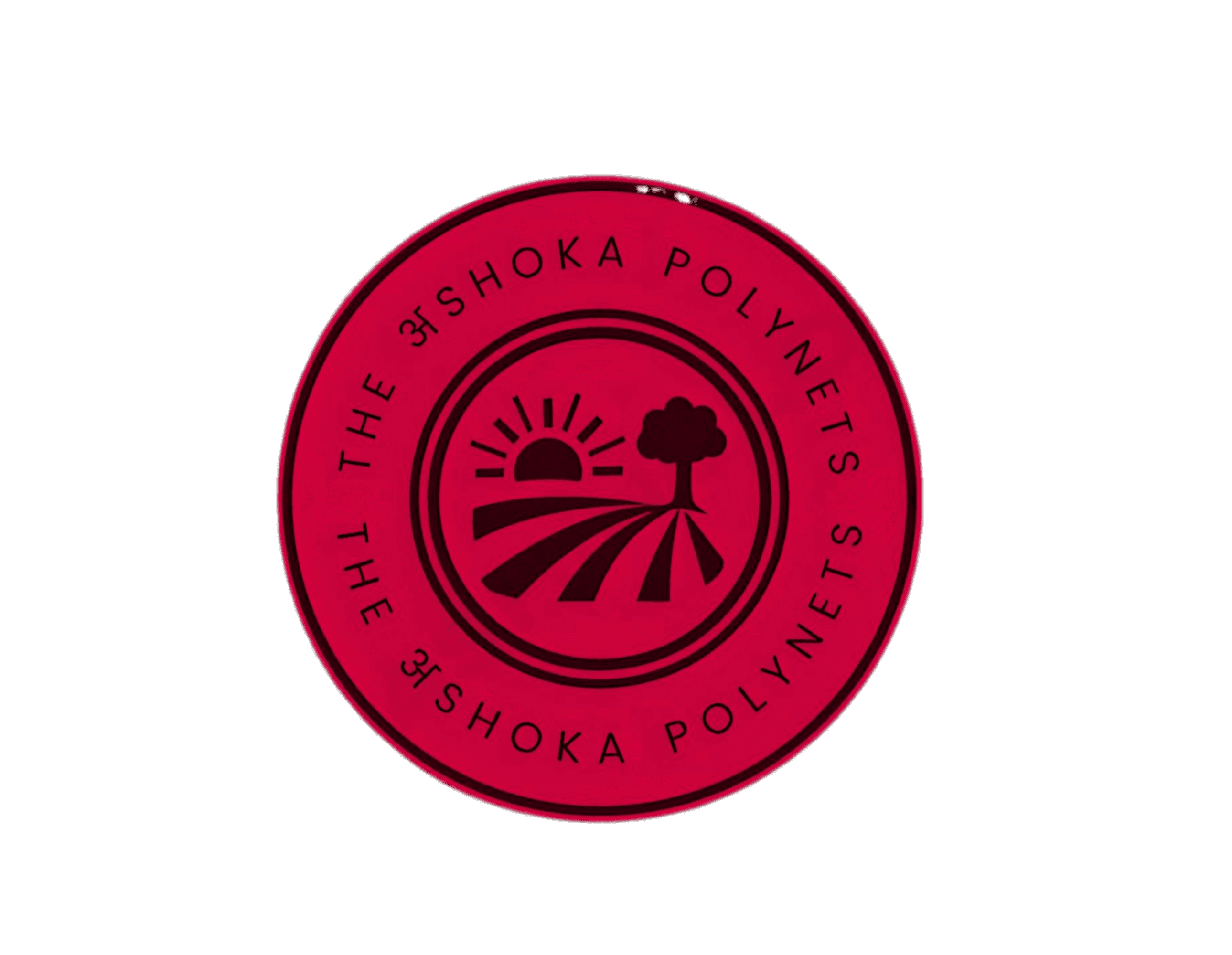 the ashoka polynets