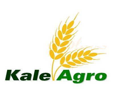 KALE ENTERPRISES