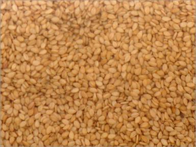 Sesame Seeds (Sesamum Indica)