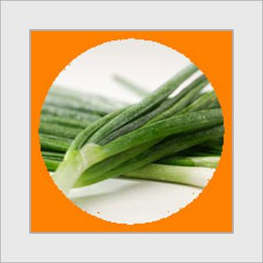 Green Onion